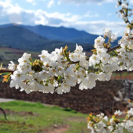 Гостевой дом Casa Rural Natura Косуэнда