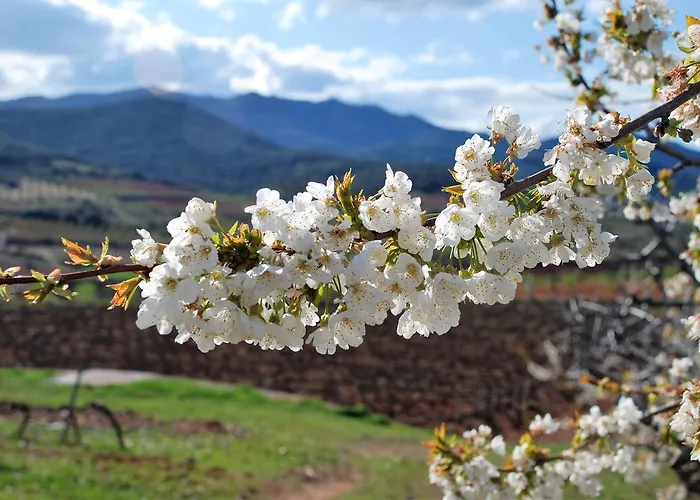 Πανσιόν Casa Rural Natura Cosuenda